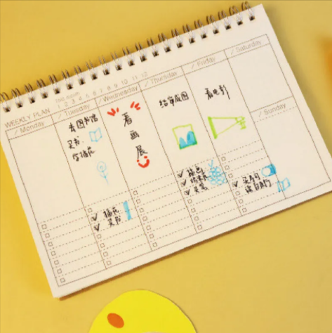 A5 Daily Planner Notebook